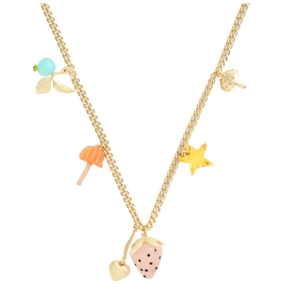 coach x observed by us strawberry heart charm necklace
